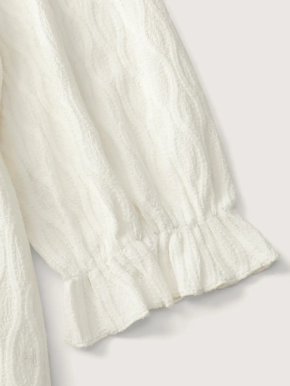 Textured Puffy Sleeve V-Neck Blouse