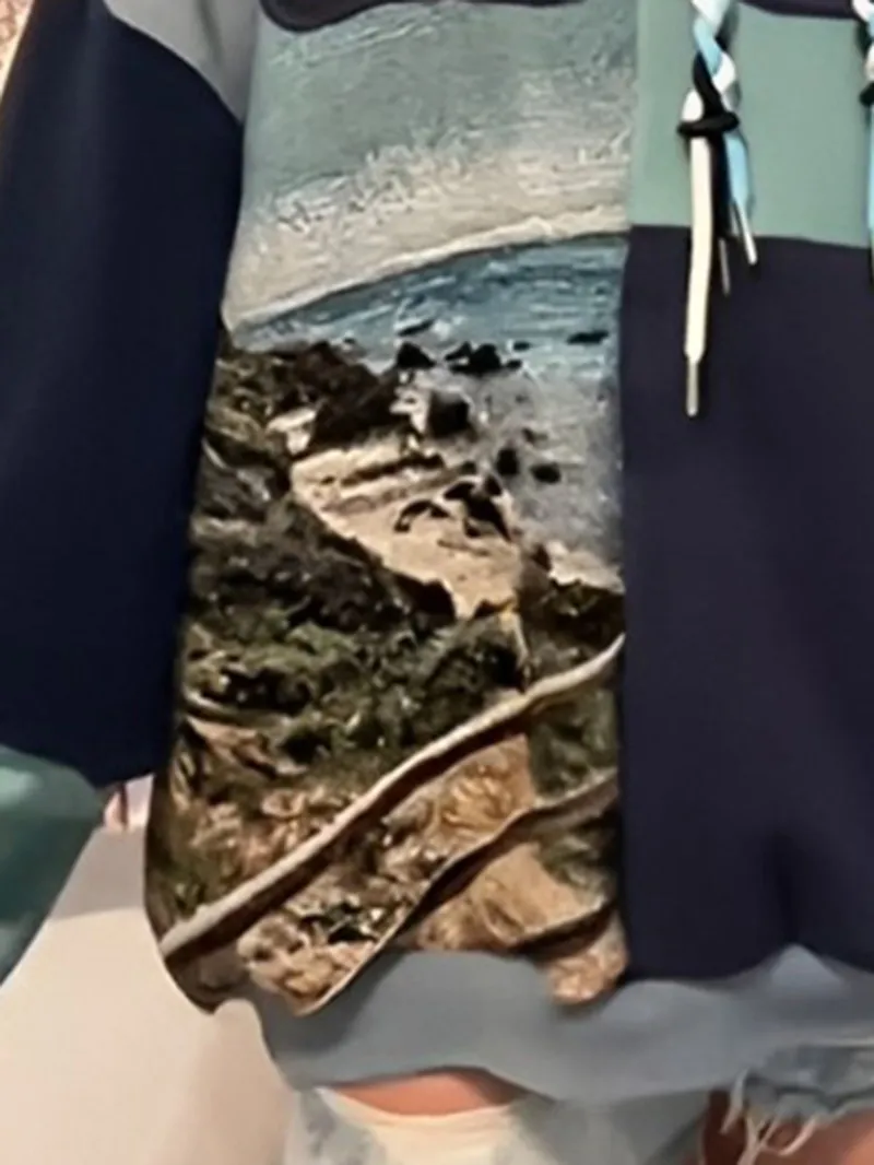 Light Blue Streetwear Leisure Hoodie Sweatshirts