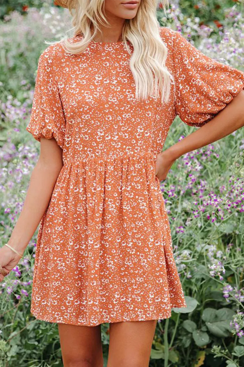 Casual Print Split Joint O Neck Straight Dresses(6 colors)