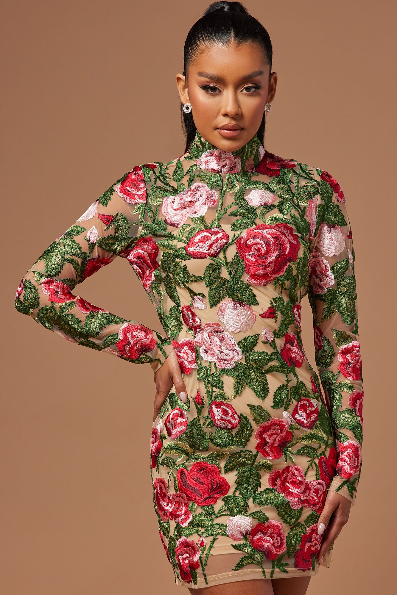 The Garden Scene Embroidered Mini Dress - Red/combo