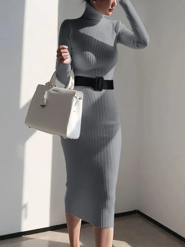 Elegant Turtleneck Sweater Dress