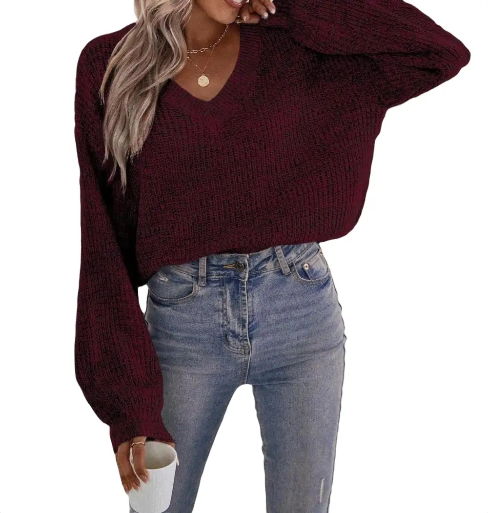Casual Plain V neck Pullovers Long Sleeve Brown Women Sweaters (Women's)