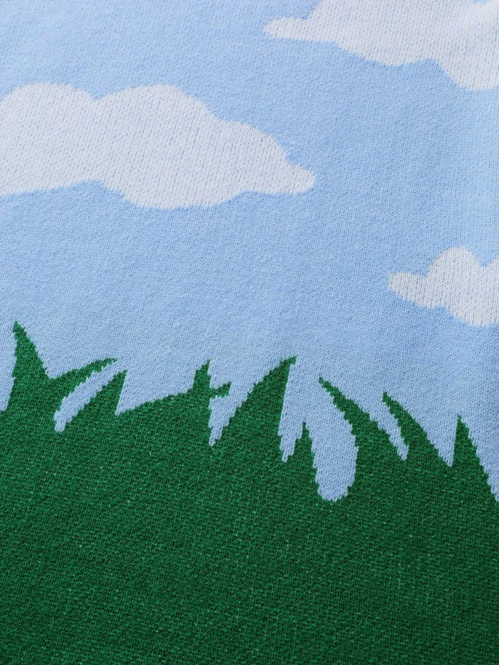 Cloudy Grass Print Jacquard Balloon Sleeve Pullover
