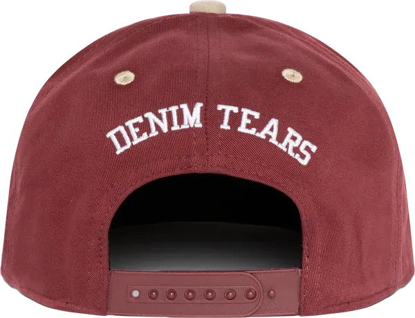 Systemic Racism Controls America Hat Burgundy