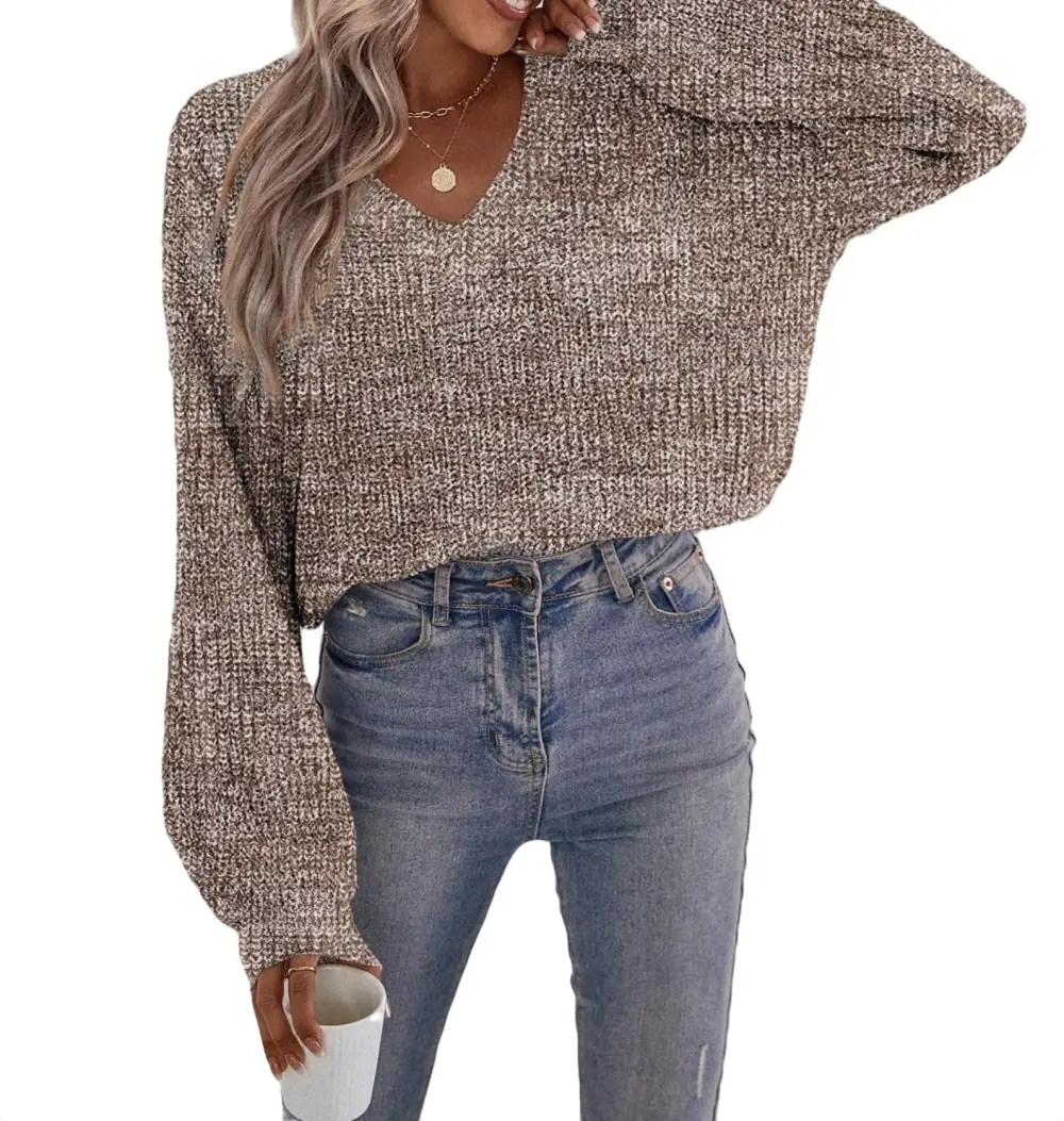 Casual Plain V neck Pullovers Long Sleeve Brown Women Sweaters (Women's)