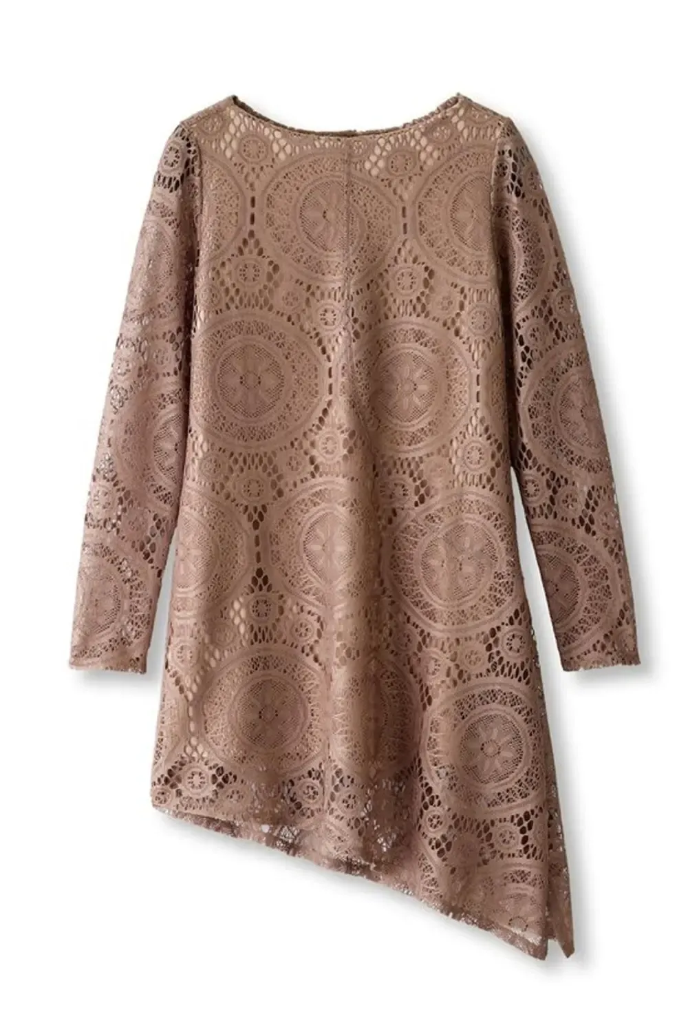 Lace Interlude Long Sleeve Tunic Top