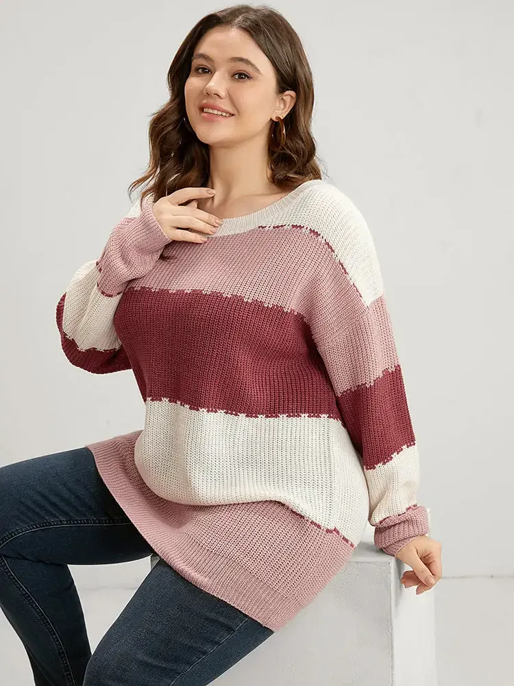 Colorblock Contrast Pointelle Knit Crew Neck Knit Top