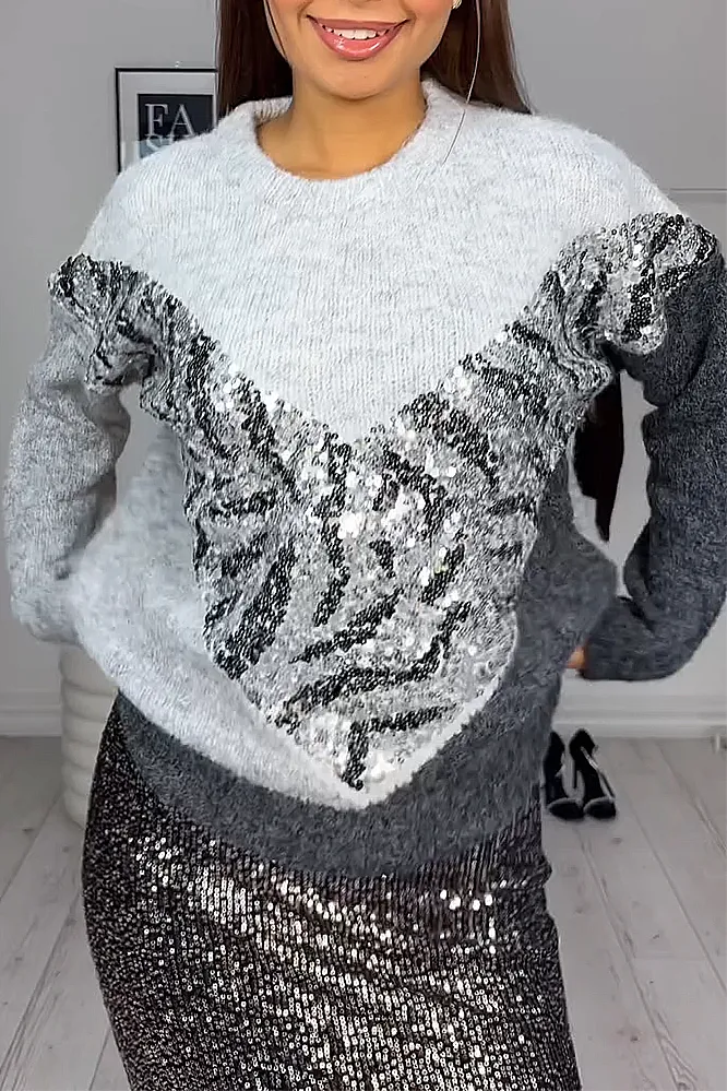 Women's fashion leopard print sequined sweater