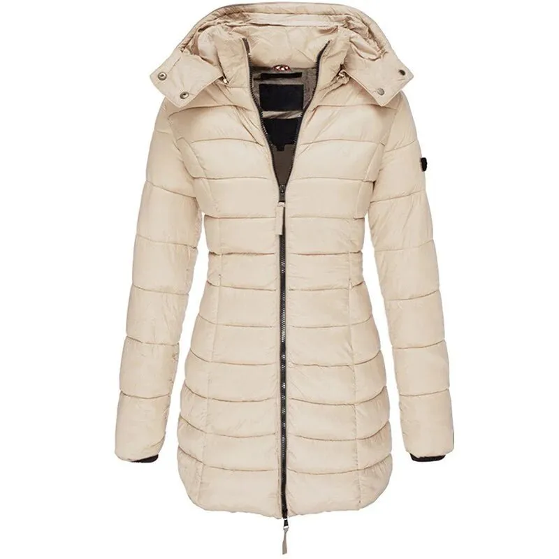 Stylish Jacket with Hood