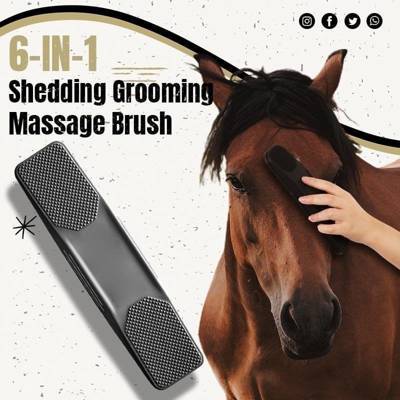 (💥Women's Day Sale💥- 50% OFF) 6-in-1 Shedding Grooming Massage Brush