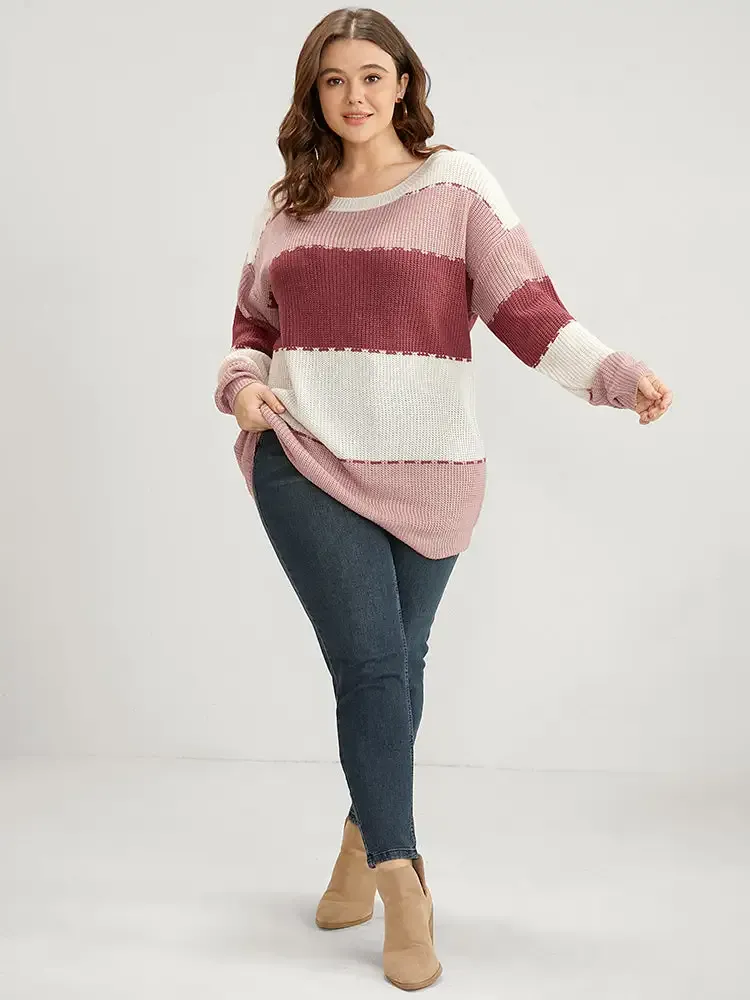 Colorblock Contrast Pointelle Knit Crew Neck Knit Top