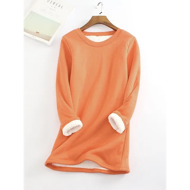 Women's Casual Dress Sweatshirt Dress Winter Dress Mini Dress Teddy Fleece Home Daily Going out Basic Casual Crew Neck Long Sleeve Regular Fit Wine Red Big red Black Color S M L XL XXL Size