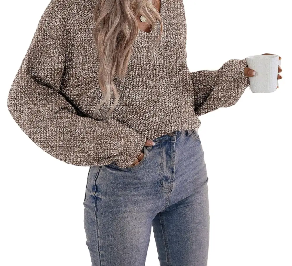 Casual Plain V neck Pullovers Long Sleeve Brown Women Sweaters (Women's)