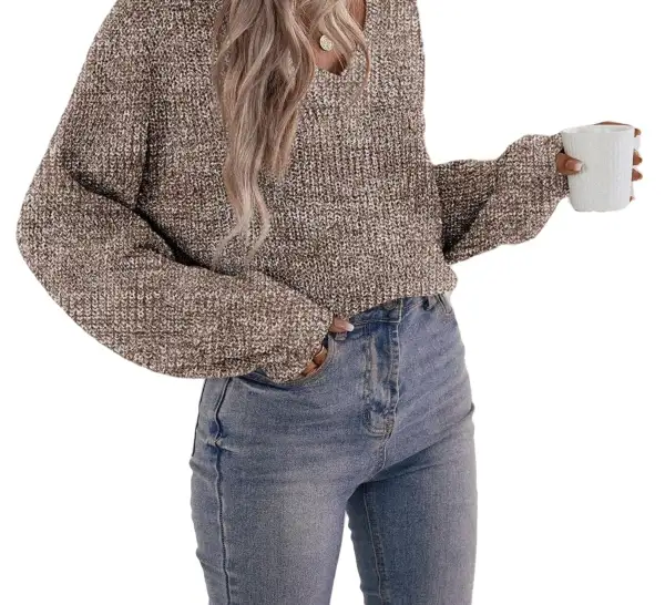 Casual Plain V neck Pullovers Long Sleeve Brown Women Sweaters (Women's)