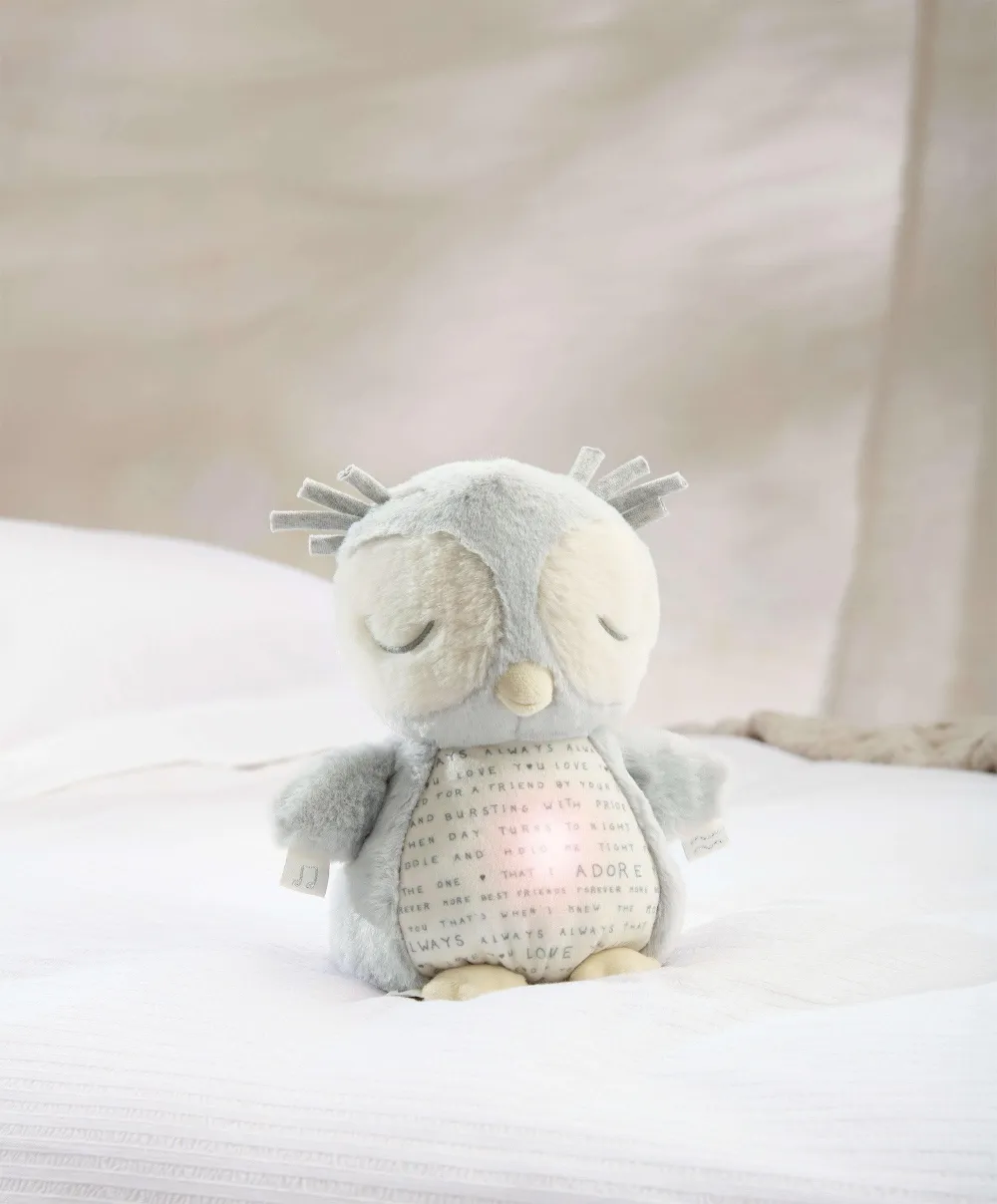 Light & Sounds Sensory Toy - Owlbie