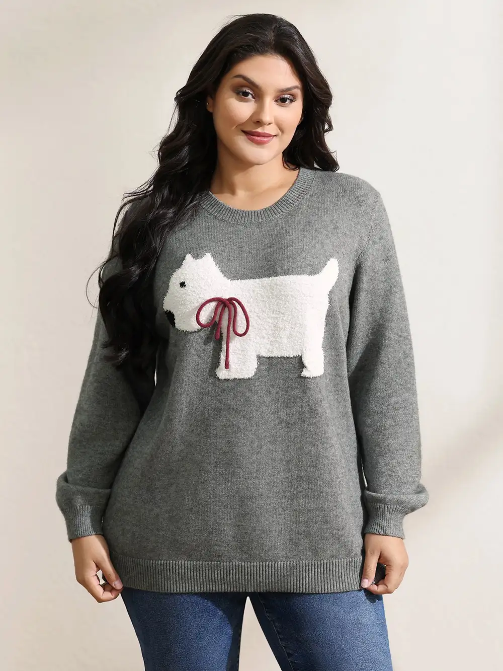 Puppy Bowknot Motif Textured Pullover