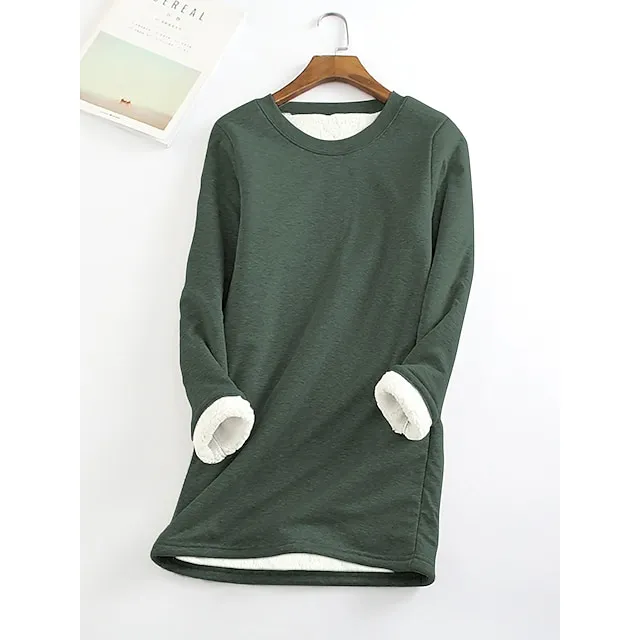 Women's Casual Dress Sweatshirt Dress Winter Dress Mini Dress Teddy Fleece Home Daily Going out Basic Casual Crew Neck Long Sleeve Regular Fit Wine Red Big red Black Color S M L XL XXL Size