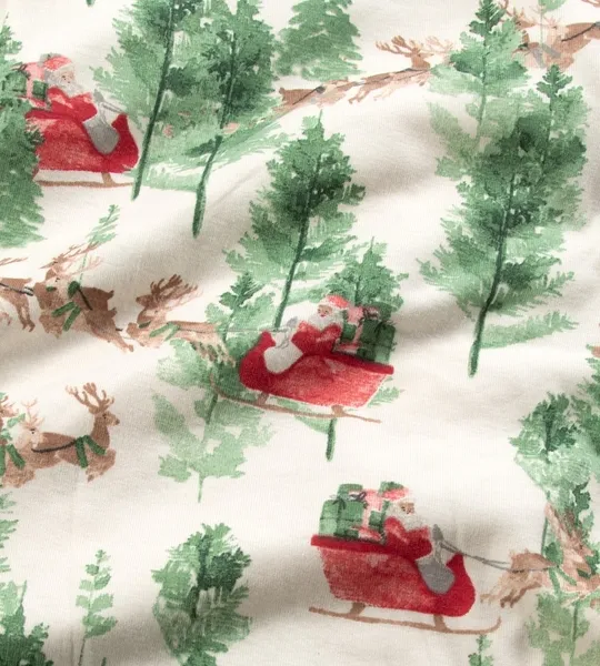 Guide My Sleigh Matching Organic Cotton Pajamas