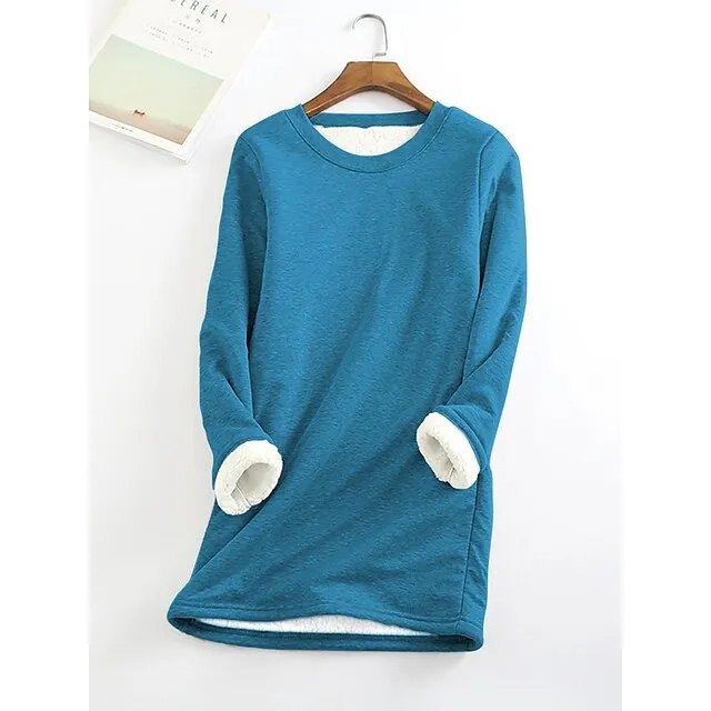Women's Casual Dress Sweatshirt Dress Winter Dress Mini Dress Teddy Fleece Home Daily Going out Basic Casual Crew Neck Long Sleeve Regular Fit Wine Red Big red Black Color S M L XL XXL Size
