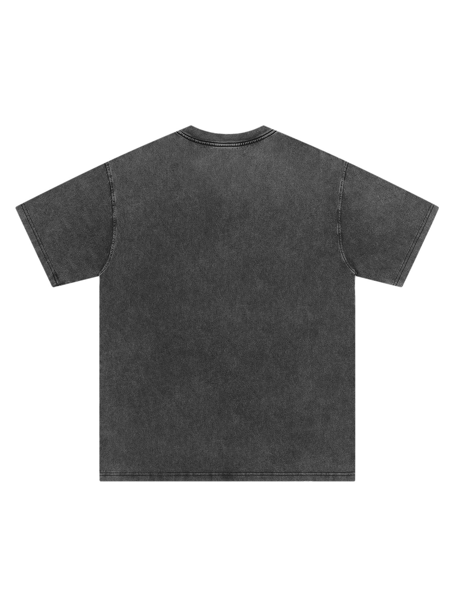 Renaissance Graphic Washed Vintage T-shirt - 2093