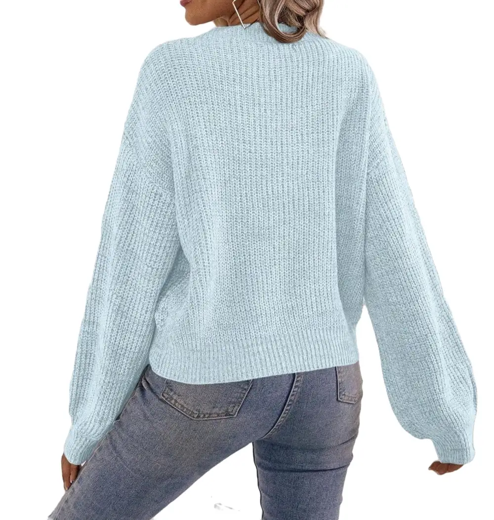 Casual Plain V neck Pullovers Long Sleeve Brown Women Sweaters (Women's)