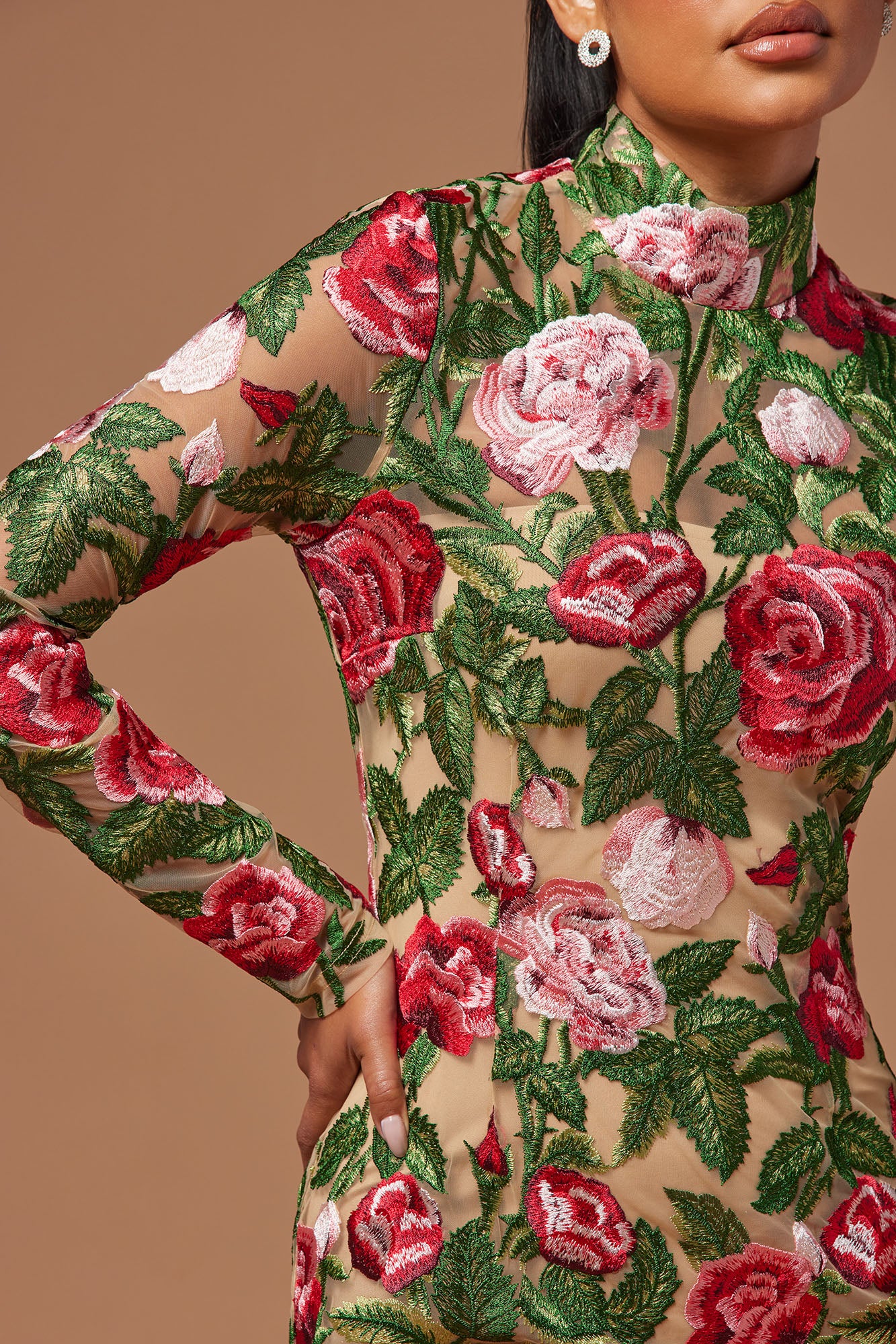 The Garden Scene Embroidered Mini Dress - Red/combo
