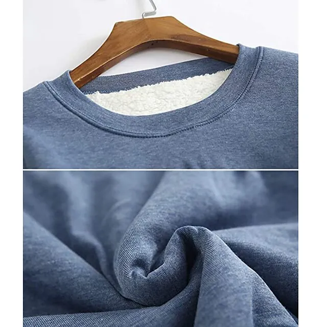 Women's Casual Dress Sweatshirt Dress Winter Dress Mini Dress Teddy Fleece Home Daily Going out Basic Casual Crew Neck Long Sleeve Regular Fit Wine Red Big red Black Color S M L XL XXL Size