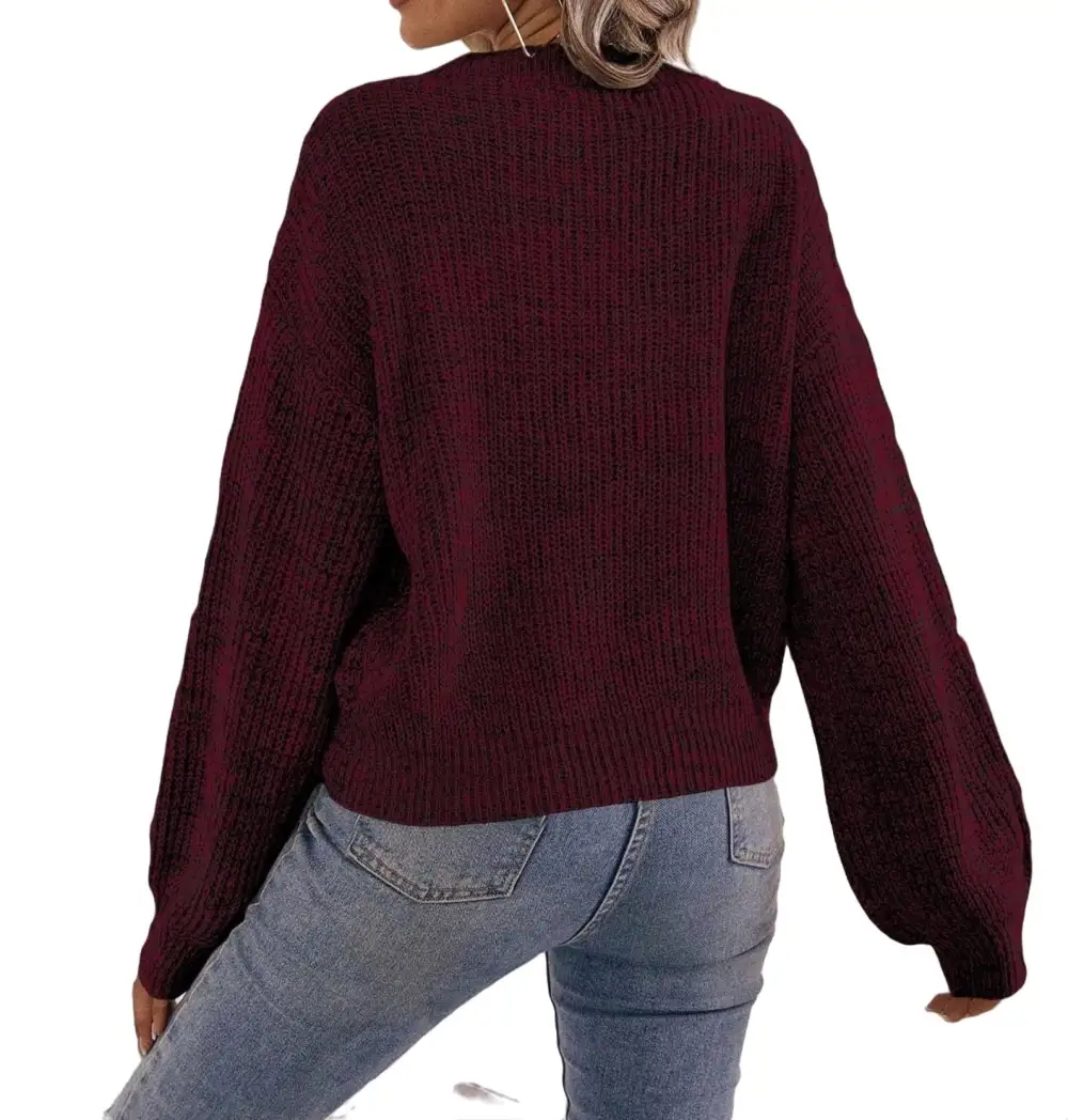 Casual Plain V neck Pullovers Long Sleeve Brown Women Sweaters (Women's)