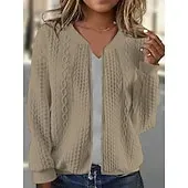 Women's Texture Sweatshirt Waffle Sweatshirt  Pullover Hoodie Sweatshirt Plain Streetwear Casual Long Sleeve Hooded Regular Tops Street Holiday Going out Buttons Black White Pink Wine Fall Winter