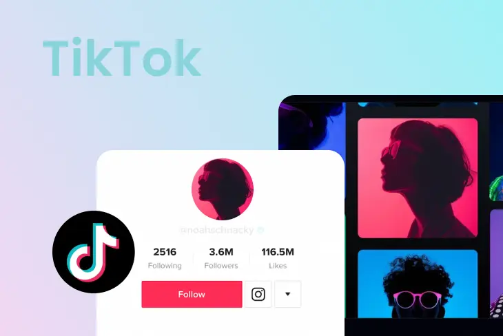 TikTok Video Downloader