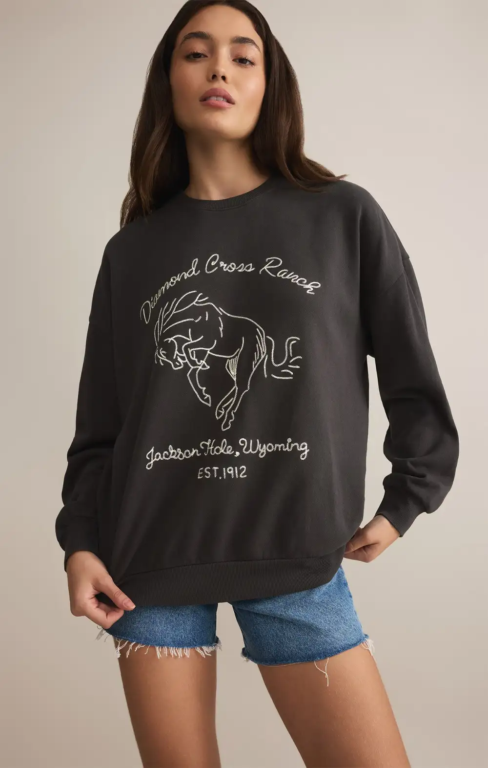 Bronc Embroidered Sunday Sweatshirt