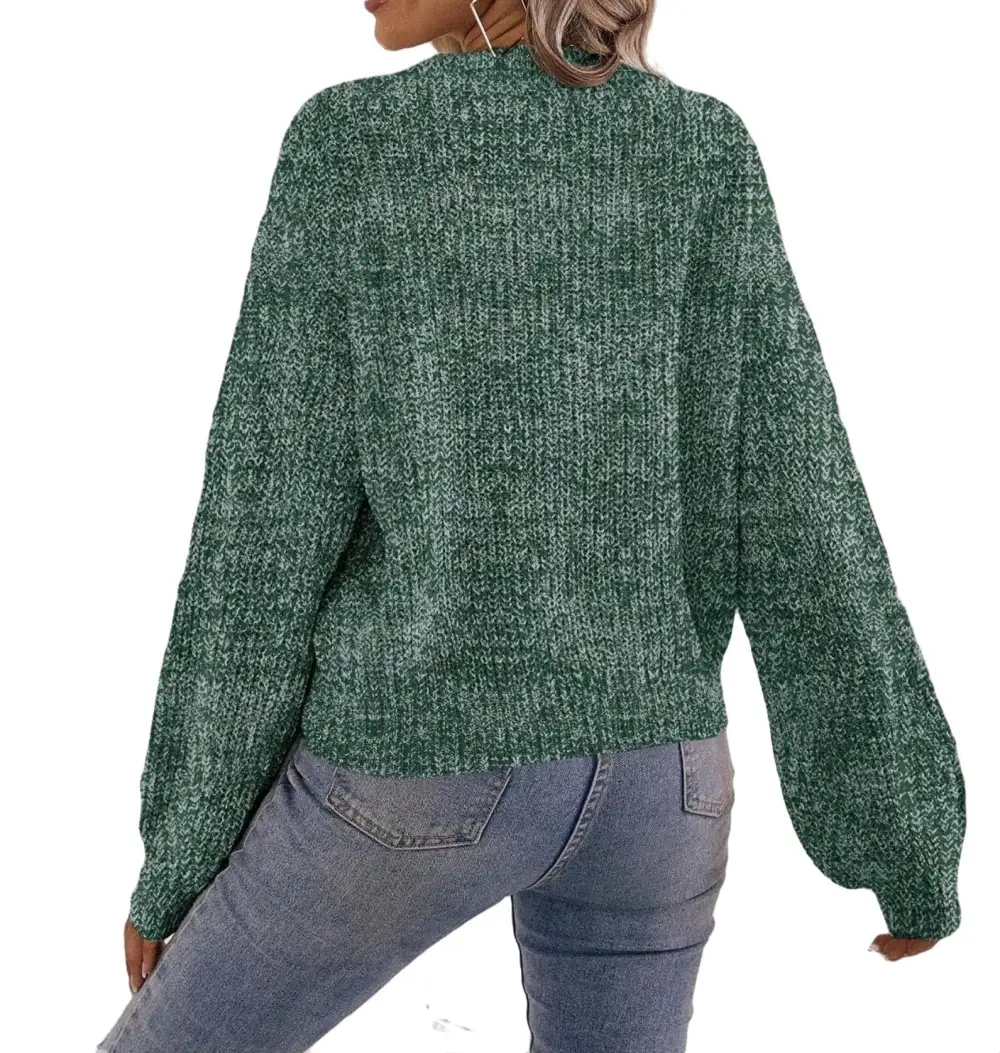 Casual Plain V neck Pullovers Long Sleeve Brown Women Sweaters (Women's)