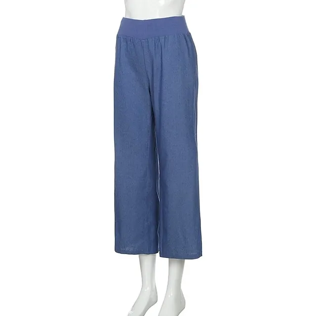 Women's Jeans Wide Leg Baggy Micro-elastic Classic Modern Office Daily Black Blue S M Spring &  Fall