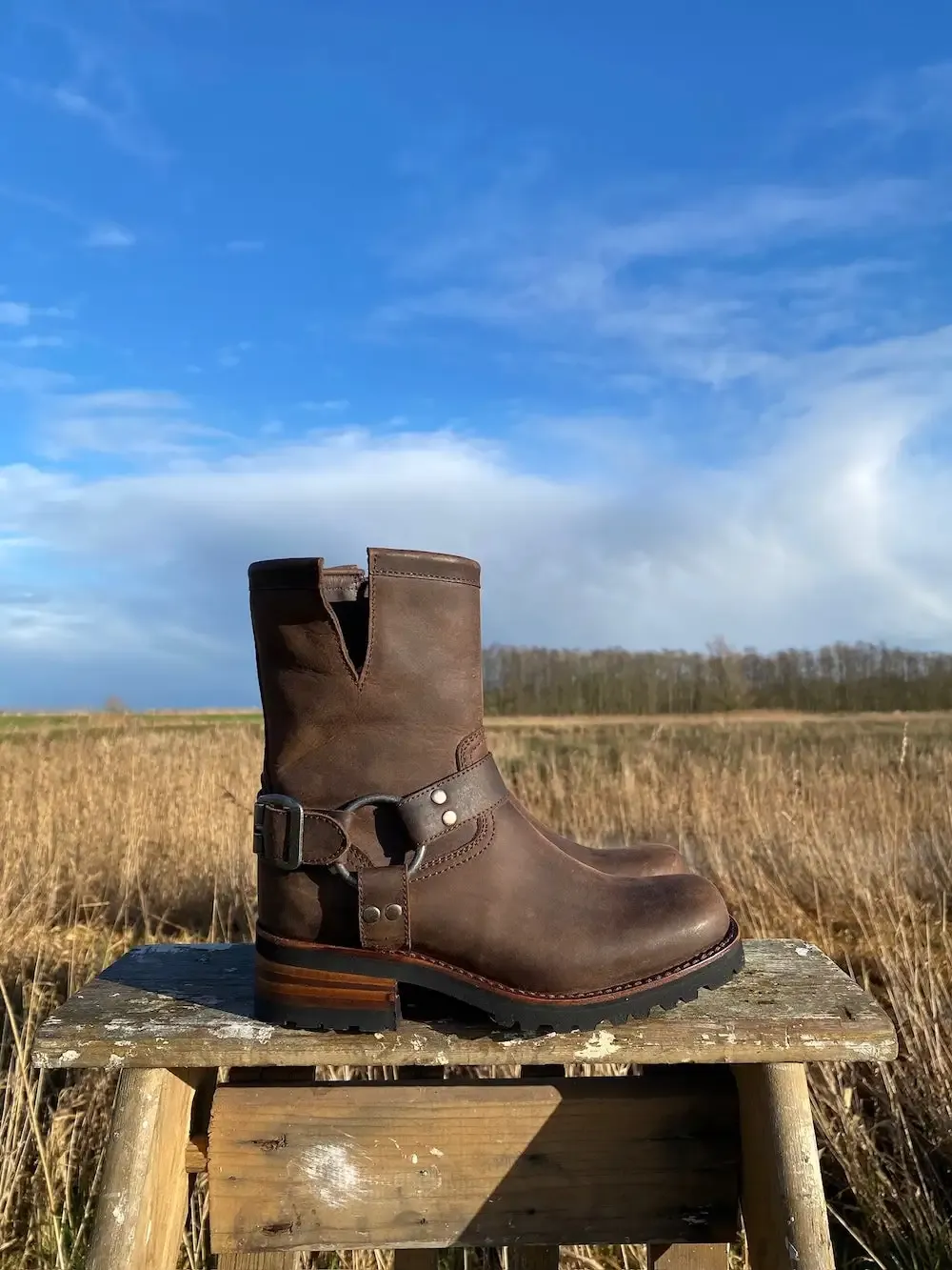 Biker Ankle Boots Vintage Brown