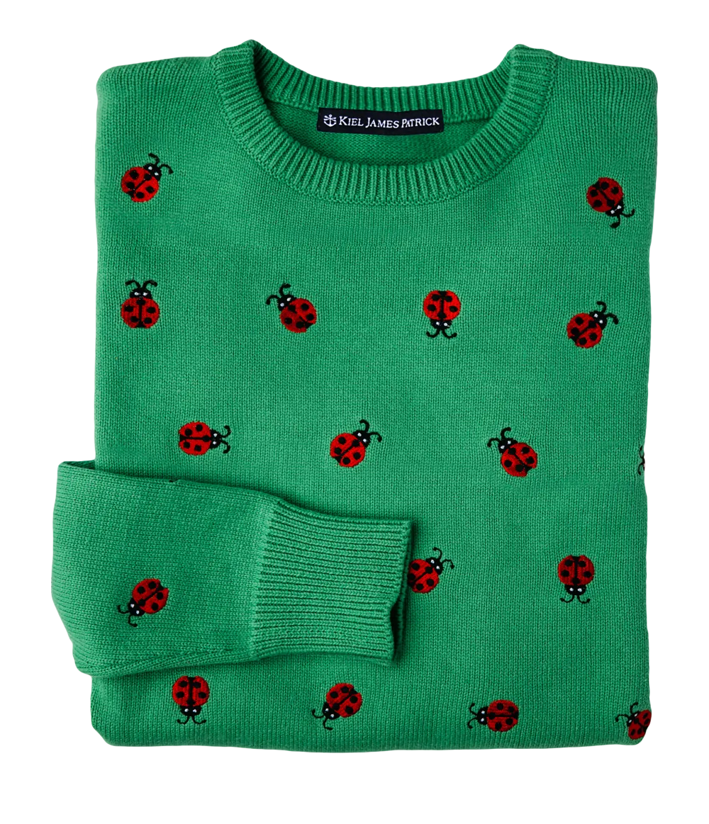 Garden Ladybug Sweater