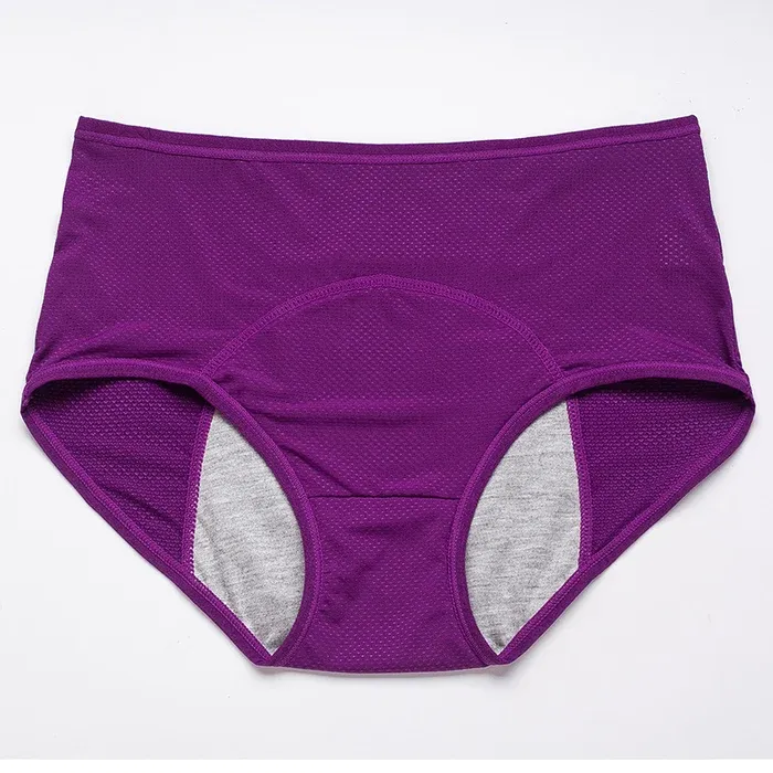 ❤️2023 New Upgrade High Waist Leak Proof Panties