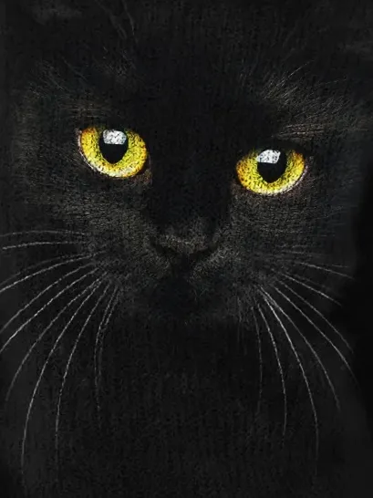 Black Cat Face Inspired Cozy Knitted Sweater