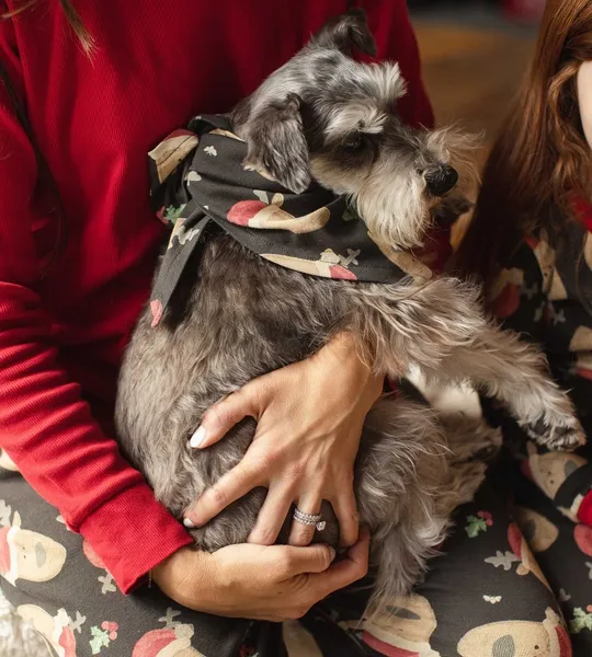 Guide My Sleigh Matching Organic Cotton Pajamas