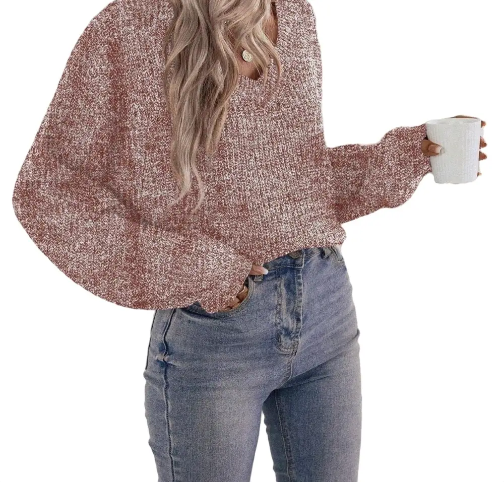 Casual Plain V neck Pullovers Long Sleeve Brown Women Sweaters (Women's)