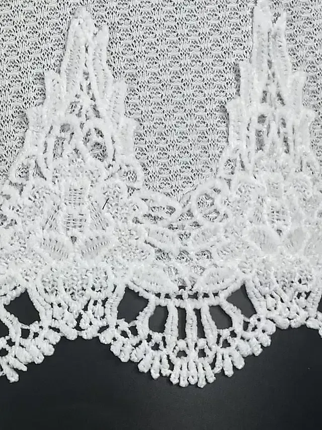 Women's Tank Top White Blue Plain Lace Sleeveless Casual Basic V Neck Regular S