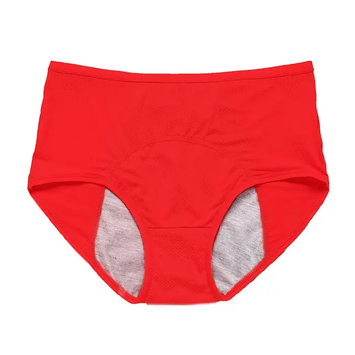 ❤️2023 New Upgrade High Waist Leak Proof Panties