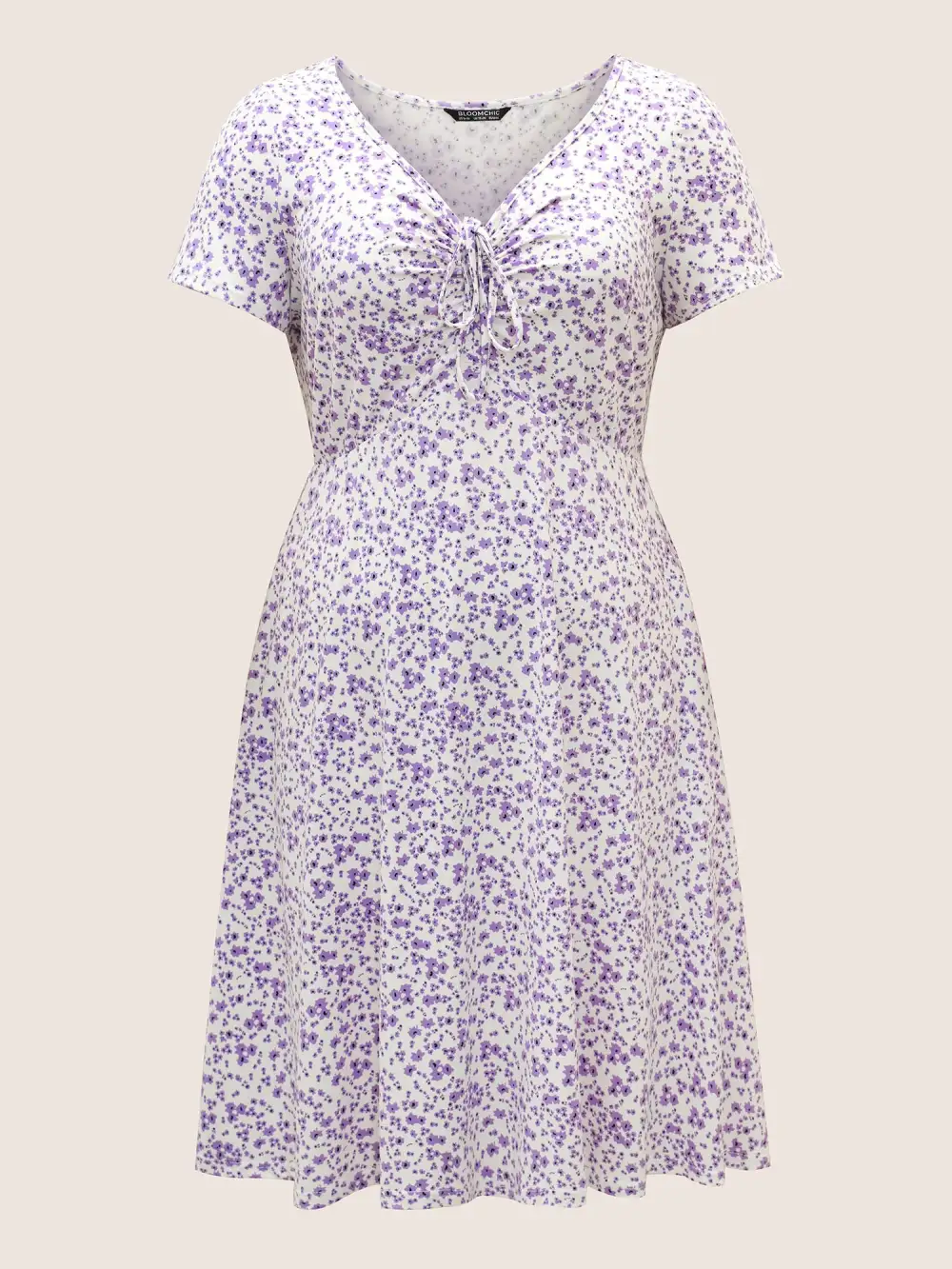 Ditsy Floral Elastic Waist Knot Drawstring Dress