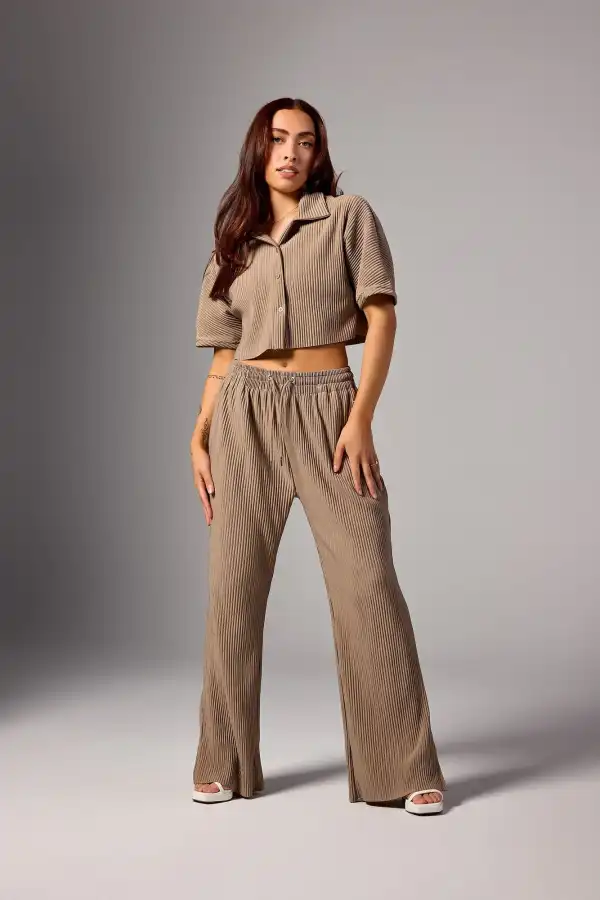 W244 Aria Pleated Pants