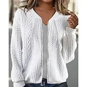 Women's Texture Sweatshirt Waffle Sweatshirt  Pullover Hoodie Sweatshirt Plain Streetwear Casual Long Sleeve Hooded Regular Tops Street Holiday Going out Buttons Black White Pink Wine Fall Winter