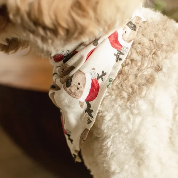 Guide My Sleigh Matching Organic Cotton Pajamas