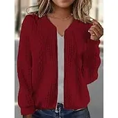 Women's Texture Sweatshirt Waffle Sweatshirt  Pullover Hoodie Sweatshirt Plain Streetwear Casual Long Sleeve Hooded Regular Tops Street Holiday Going out Buttons Black White Pink Wine Fall Winter