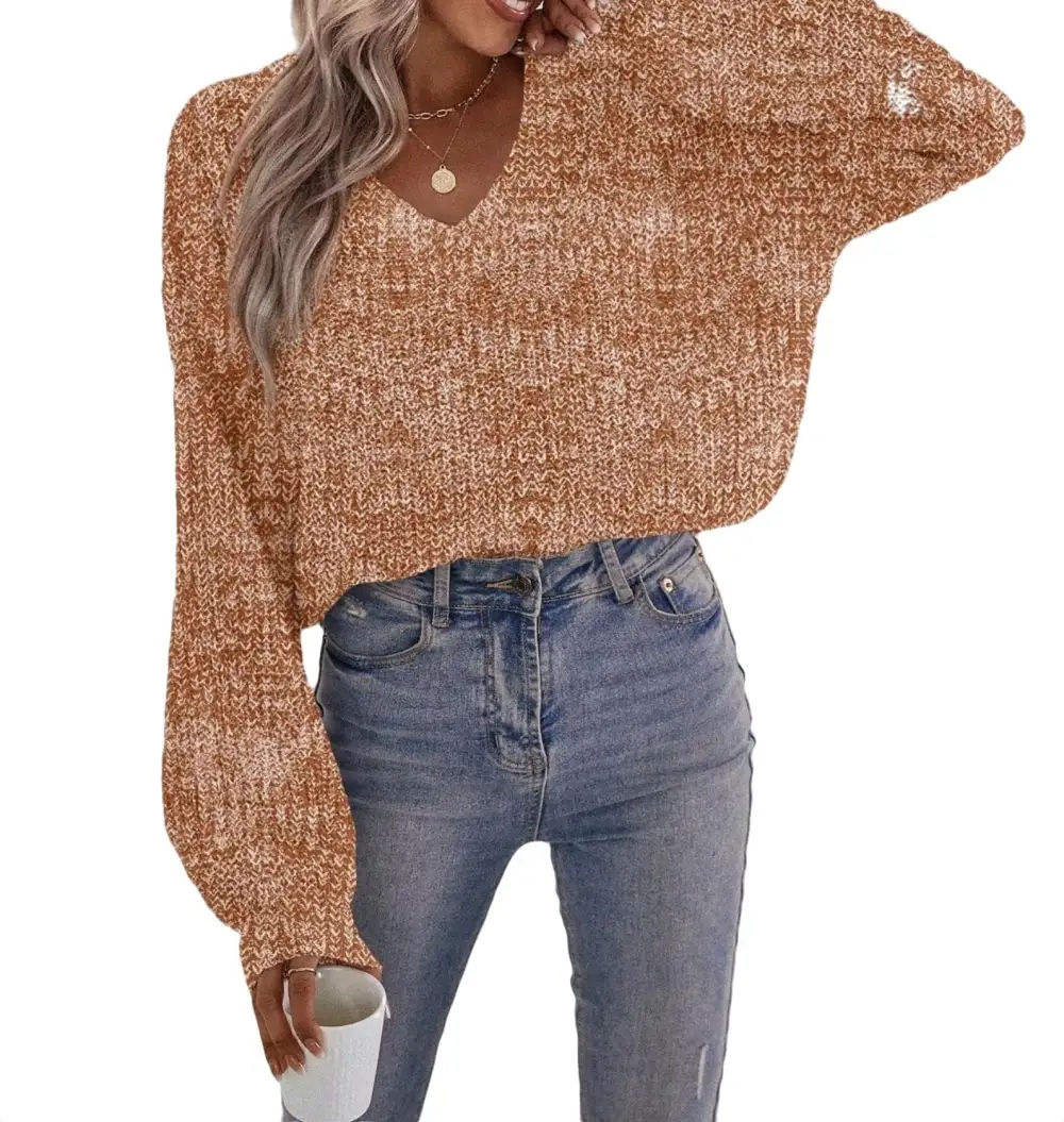Casual Plain V neck Pullovers Long Sleeve Brown Women Sweaters (Women's)