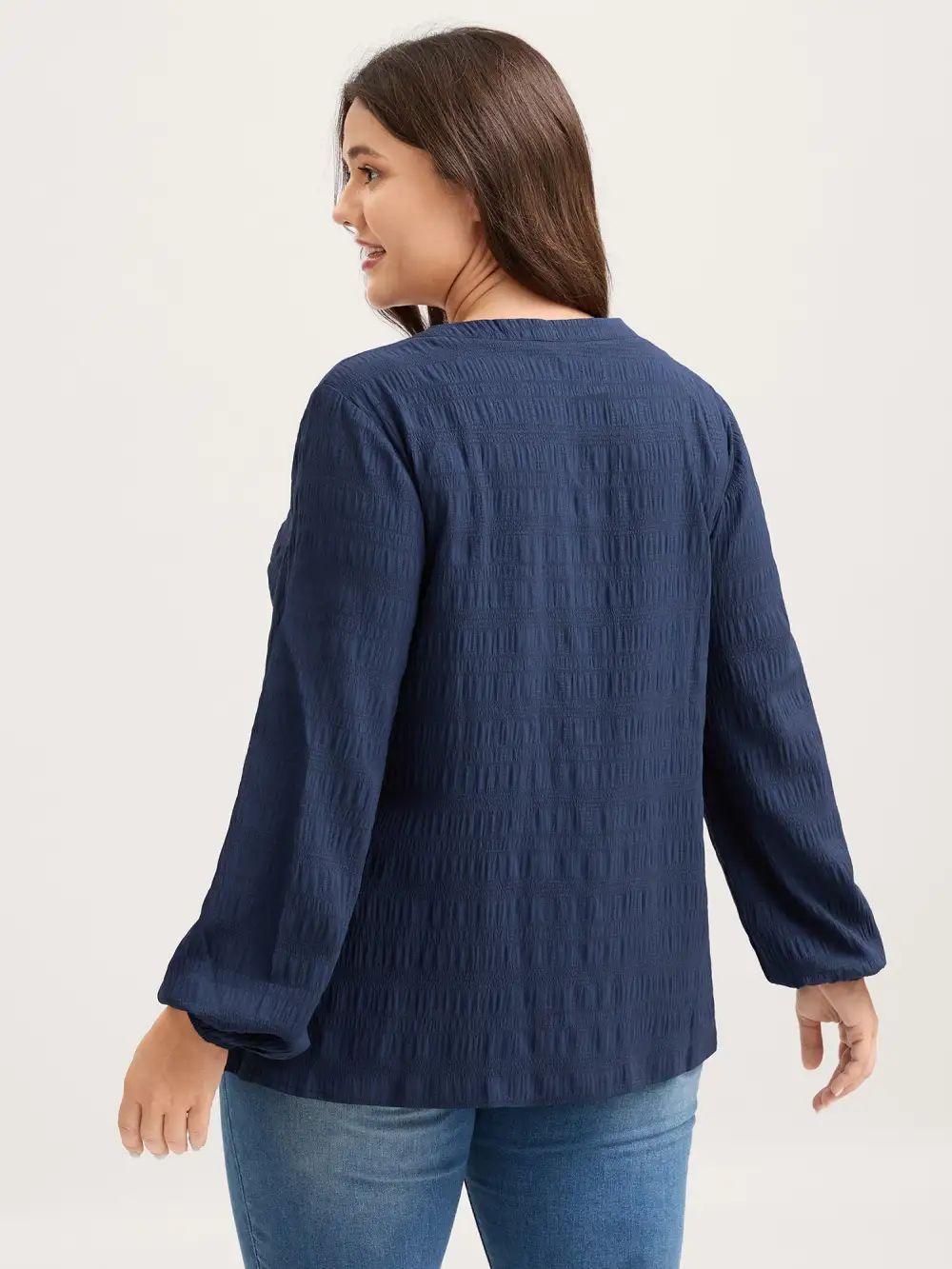 Notched Collar Textured Solid Blouse