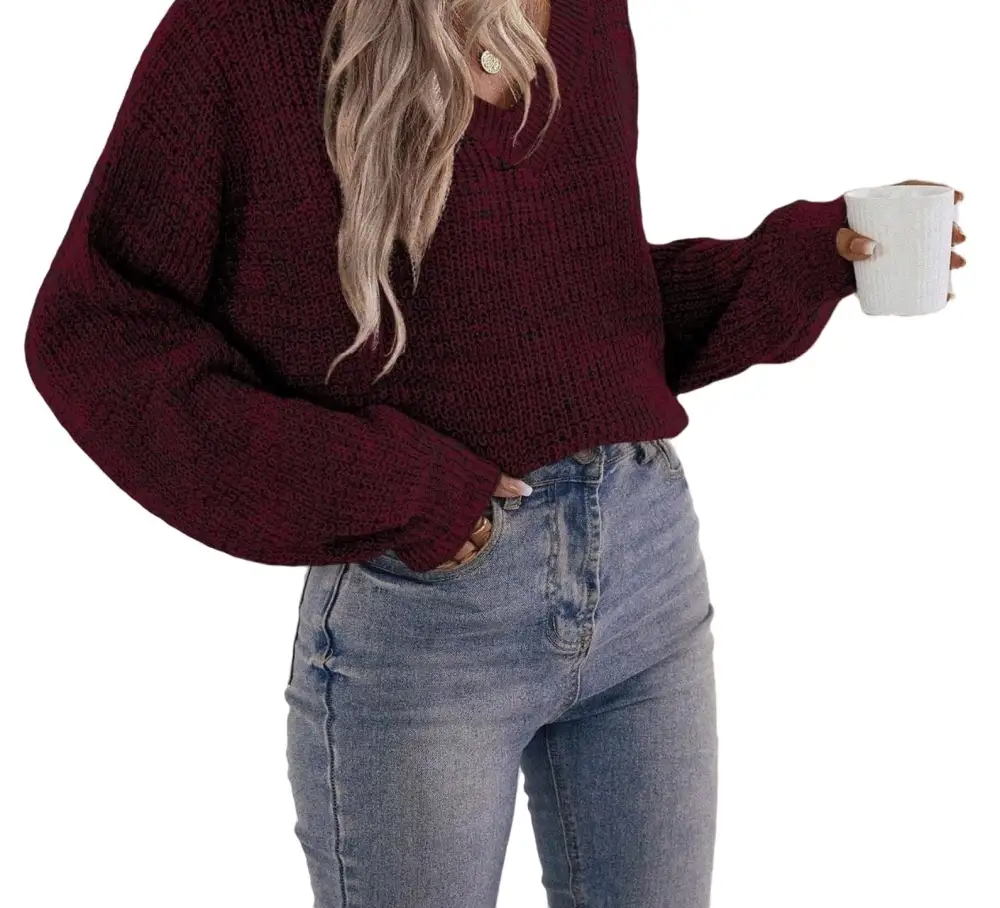 Casual Plain V neck Pullovers Long Sleeve Brown Women Sweaters (Women's)