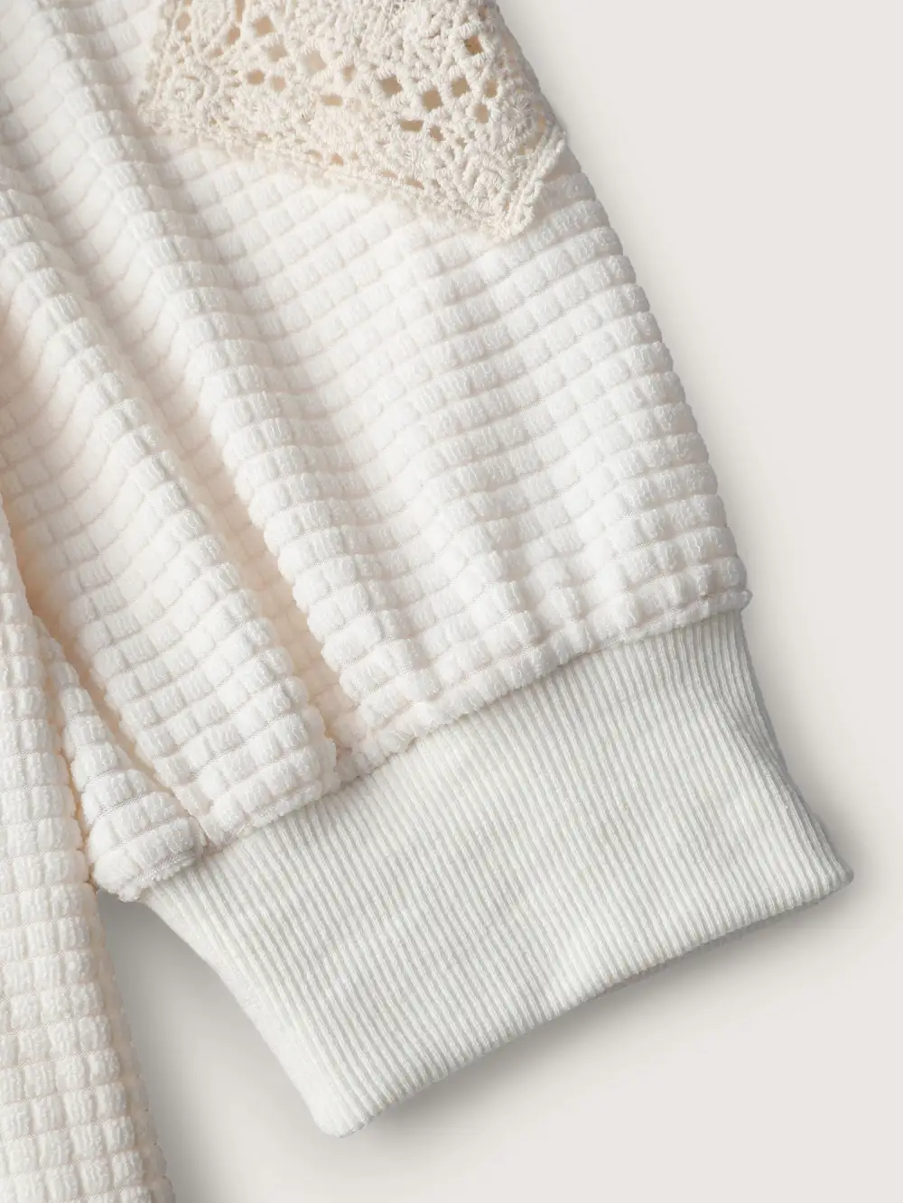 Lace Textured Sheer Sleeve Sweatshirt